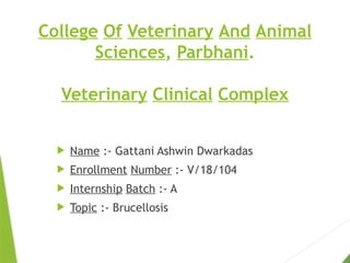 College Of Veterinary And Animal
Sciences, Parbhani.
Veterinary Clinical Complex
 Name :- Gattani Ashwin Dwarkadas
 Enrollment Number :- V/18/104
 Internship Batch :- A
 Topic :- Brucellosis
 