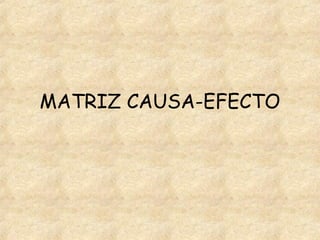 MATRIZ CAUSA-EFECTO
 