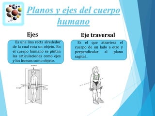 Planos y ejes del cuerpo
humano
Ejes
Es una lina recta alrededor
de la cual rota un objeto. En
el cuerpo humano se pintan
las articulaciones como ejes
y los huesos como objeto.
Eje traversal
Es el que atraviesa el
cuerpo de un lado a otro y
perpendicular al plano
sagital .
 