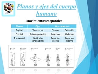 Planos y ejes del cuerpo
humano
Planos Ejes Movimientos
Sagital Transversal Flexión Extensión
Frontal Antero-posterior Aducción Abdución
Transversal Vertical o
longitudinal
Rotación
interna
Rotación
externa
Movimientos corporales
 
