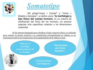 1940 por el
psicólogo
estadounidense W.
H. Sheldon
Del griego”σώμα = Cuerpo” y “τύπσς =
Modelo o Ejemplar”, se define como “la morfología y
tipo fisico del cuerpo humano. Es un sistema de
clasificación del fisico del ser humano, sin precisar
aspectos más específicos relativos a las dimensiones
corporales
“Variaciones
del fisico
humano”,
Somatotipo
Características
morfológicas
Es Un sistema designado para clasificar el tipo corporal o físico; es utilizado
para estimar la forma corporal y su composición principalmente en atletas; es un
instrumento útil en las evaluaciones de la aptitud física de le edad y el sexo.
 