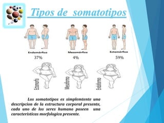 Tipos de somatotipos
59%37% 4%
Los somatotipos es simplemtente una
descripcion de la estructura corporal presente,
cada uno de los seres humano poseen una
caracteristicas morfologica presente.
 