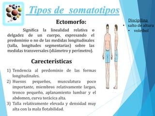 Tipos de somatotipos
Ectomorfo:
Carecterísticas
Significa la linealidad relativa o
delgadez de un cuerpo, expresando el
predominio o no de las medidas longitudinales
(talla, longitudes segmentarias) sobre las
medidas transversales (diámetro y perímetro).
1) Tendencia al predominio de las formas
longitudinales.
2) Huesos pequeños, musculatura poco
importante, miembros relativamente largos,
tronco pequeño, aplanamiento lumbar y el
abdomen, curva torácica alta.
3) Talla relativamente elevada y densidad muy
alta con la mala flotabilidad.
Discipilina
• salto de altura
• voleibol
 