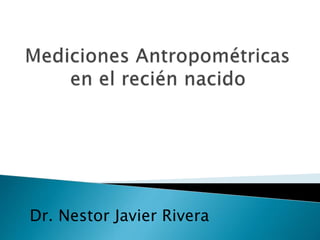 Dr. Nestor Javier Rivera 
 