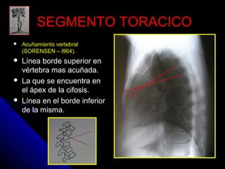 SSEEGGMMEENNTTOO TTOORRAACCIICCOO 
 Acuñamiento vertebral 
(SORENSEN – l964). 
 Línea borde superior en 
vértebra mas acuñada. 
 La que se encuentra en 
el ápex de la cifosis. 
 Línea en el borde inferior 
de la misma. 
 