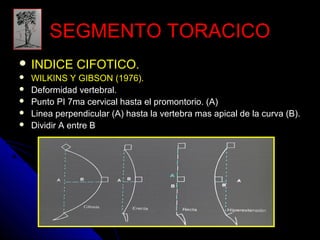 SSEEGGMMEENNTTOO TTOORRAACCIICCOO 
 IINNDDIICCEE CCIIFFOOTTIICCOO.. 
 WWIILLKKIINNSS YY GGIIBBSSOONN ((11997766)).. 
 DDeeffoorrmmiiddaadd vveerrtteebbrraall.. 
 PPuunnttoo PPII 77mmaa cceerrvviiccaall hhaassttaa eell pprroommoonnttoorriioo.. ((AA)) 
 LLiinneeaa ppeerrppeennddiiccuullaarr ((AA)) hhaassttaa llaa vveerrtteebbrraa mmaass aappiiccaall ddee llaa ccuurrvvaa ((BB)).. 
 DDiivviiddiirr AA eennttrree BB 
 