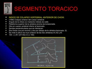SSEEGGMMEENNTTOO TTOORRAACCIICCOO 
 IINNDDIICCEE DDEE CCOOLLAAPPSSOO VVEERRTTEEBBRRAALL AANNTTEERRIIOORR DDEE CCHHOOWW.. 
 ((11999966)) CCoollaappssoo aanntteerriioorr ddeell ccuueerrppoo vveerrtteebbrraall.. 
 AAnngguulloo ddee llaa cciiffoossiiss ((cc)) mmeeddiiaannttee mmééttooddoo ddee ccoobbbb.. 
 PPllaattaaffoorrmmaa ssuuppeerriioorr ddee llaa vvéérrtteebbrraa eenncciimmaa ddee llaa lleessiioonnaaddaa.. 
 OOttrraa eenn ccuueerrppoo vveerrtteebbrraall iinnffeerriioorr aall lleessiioonnaaddoo.. 
 SSeennddaass ppeerrppeennddiiccuullaarreess qquuee ssee iinntteerrsseeccaann.. 
 DDooss llíínneeaass uunnaa ppoorr eenncciimmaa yy oottrraa ppoorr ddeebbaajjoo ddee llaa vvéérrtteebbrraa lleessiioonnaaddaa.. ((ff)).. 
 SSee mmiiddee llaa aallttuurraa ddee mmuurroo aanntteerriioorr ddee llaass ttrreess vvéérrtteebbrraass AA11,,AA22 yy AAff.. 
 110000 -- (( {{ AAff // ((AA11++AA22)) //22 }} xx 110000)) 
 