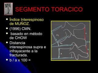 SSEEGGMMEENNTTOO TTOORRAACCIICCOO 
 ÍÍnnddiiccee IInntteerreessppiinnoossoo 
ddee MMUUÑÑOOZZ.. 
 ((11999966)) CCMMNN.. 
 bbaassaaddoo eenn mmééttooddoo 
ddee CCHHOOWW 
 DDiissttaanncciiaa 
iinntteerreessppiinnoossaa ssuupprraa ee 
iinnffrraayyaacceennttee aa llaa 
ffrraaccttuurraaddaa.. 
 bb // aa xx 110000 == 
 