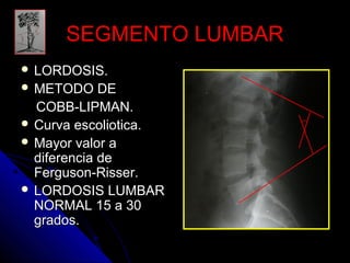 SSEEGGMMEENNTTOO LLUUMMBBAARR 
 LLOORRDDOOSSIISS.. 
 MMEETTOODDOO DDEE 
CCOOBBBB--LLIIPPMMAANN.. 
 CCuurrvvaa eessccoolliioottiiccaa.. 
 MMaayyoorr vvaalloorr aa 
ddiiffeerreenncciiaa ddee 
FFeerrgguussoonn--RRiisssseerr.. 
 LLOORRDDOOSSIISS LLUUMMBBAARR 
NNOORRMMAALL 1155 aa 3300 
ggrraaddooss.. 
 