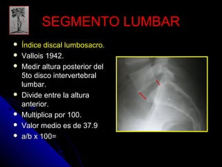 SSEEGGMMEENNTTOO LLUUMMBBAARR 
 ÍÍnnddiiccee ddiissccaall lluummbboossaaccrroo.. 
 VVaallllooiiss 11994422.. 
 MMeeddiirr aallttuurraa ppoosstteerriioorr ddeell 
5ttoo ddiissccoo iinntteerrvveerrtteebbrraall 
lluummbbaarr.. 
 DDiivviiddee eennttrree llaa aallttuurraa 
aanntteerriioorr.. 
 MMuullttiipplliiccaa ppoorr 110000.. 
 VVaalloorr mmeeddiioo eess ddee 3377..99 
 aa//bb xx 110000== 
 
