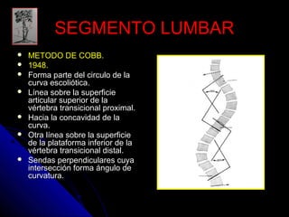SSEEGGMMEENNTTOO LLUUMMBBAARR 
 MMEETTOODDOO DDEE CCOOBBBB.. 
 11994488.. 
 FFoorrmmaa ppaarrttee ddeell cciirrccuulloo ddee llaa 
ccuurrvvaa eessccoolliióóttiiccaa.. 
 LLíínneeaa ssoobbrree llaa ssuuppeerrffiicciiee 
aarrttiiccuullaarr ssuuppeerriioorr ddee llaa 
vvéérrtteebbrraa ttrraannssiicciioonnaall pprrooxxiimmaall.. 
 HHaacciiaa llaa ccoonnccaavviiddaadd ddee llaa 
ccuurrvvaa.. 
 OOttrraa llíínneeaa ssoobbrree llaa ssuuppeerrffiicciiee 
ddee llaa ppllaattaaffoorrmmaa iinnffeerriioorr ddee llaa 
vvéérrtteebbrraa ttrraannssiicciioonnaall ddiissttaall.. 
 SSeennddaass ppeerrppeennddiiccuullaarreess ccuuyyaa 
iinntteerrsseecccciióónn ffoorrmmaa áánngguulloo ddee 
ccuurrvvaattuurraa.. 
 