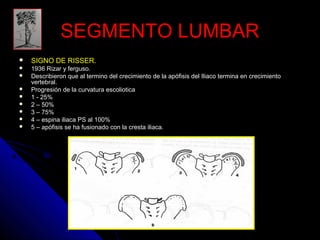 SSEEGGMMEENNTTOO LLUUMMBBAARR 
 SIGNO DE RISSER. 
 11993366 RRiizzaarr yy ffeerrgguussoo.. 
 DDeessccrriibbiieerroonn qquuee aall tteerrmmiinnoo ddeell ccrreecciimmiieennttoo ddee llaa aappóóffiissiiss ddeell IIlliiaaccoo tteerrmmiinnaa eenn ccrreecciimmiieennttoo 
vveerrtteebbrraall.. 
 PPrrooggrreessiióónn ddee llaa ccuurrvvaattuurraa eessccoolliioottiiccaa 
 11 -- 2255%% 
 22 –– 5500%% 
 33 –– 7755%% 
 44 –– eessppiinnaa iilliiaaccaa PPSS aall 110000%% 
 55 –– aappóóffiissiiss ssee hhaa ffuussiioonnaaddoo ccoonn llaa ccrreessttaa iilliiaaccaa.. 
 