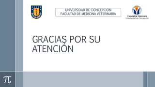 GRACIAS POR SU
ATENCIÓN
UNIVERSIDAD DE CONCEPCION
FACULTAD DE MEDICINA VETERINARIA
 