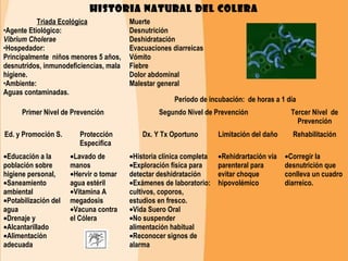 Colera | PPT