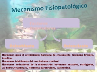 Mecanismo Fisiopatológico
Factores
Reguladores
Osteoblasto Osteoclasto
Hormonas para el crecimiento: hormona de crecimiento, hormona tiroidea,
insulina.
Hormonas inhibidoras del crecimiento: cortisol.
Hormonas activadoras de la maduración: hormonas sexuales, estrógenos,
25-hidroxivitamina D, Hormona paratiroidea, calcitonina.
 