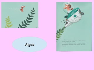 Algas
 