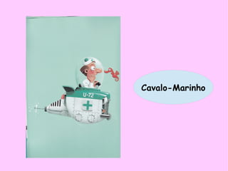 Cavalo-Marinho
 