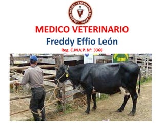 MEDICO VETERINARIO
 Freddy Effio León
     Reg. C.M.V.P. N°: 3368
 