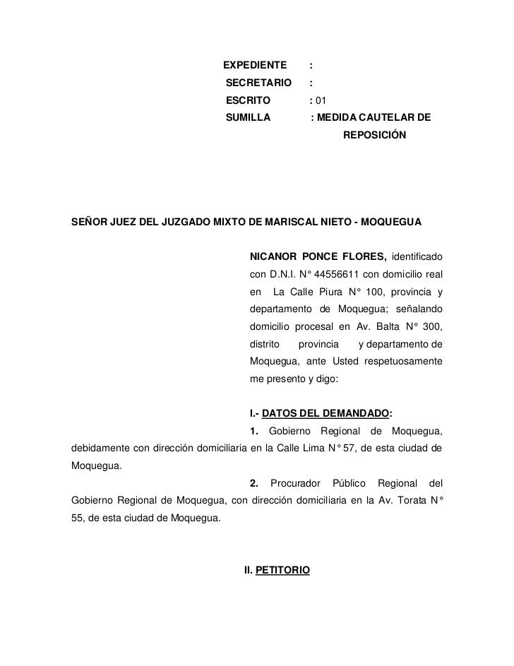 Medida cautelar de reposicion