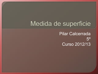 Pilar Calcerrada
5º
Curso 2012/13
 