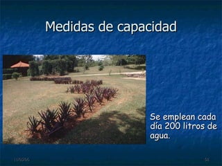 Medidas de capacidad Se emplean cada día 200 litros de agua. 