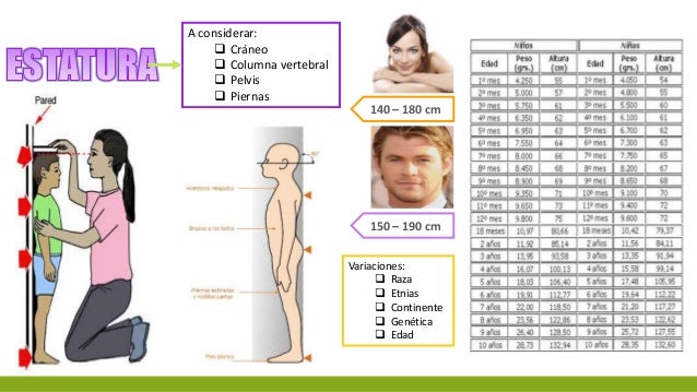🍃Achetez-en 1 obtenez-en 1 gratuitement🌵🌸Comprimés nutritionnels universels vitalité pour la croissance des plantes