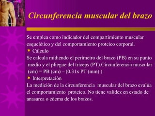 Circunferencia muscular del brazo Se emplea como indicador del compartimiento muscular  esquelético y del comportamiento proteico corporal. Cálculo Se calcula midiendo el perímetro del brazo (PB) en su punto medio y el pliegue del tríceps (PT).Circunferencia muscular (cm) = PB (cm) – (0.31x PT (mm) ) Interpretación La medición de la circunferencia  muscular del brazo evalúa  el comportamiento  proteico. No tiene validez en estado de  anasarca o edema de los brazos. 