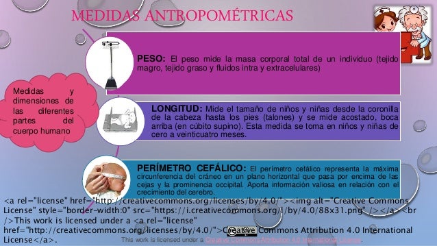 Medidas antropométricas