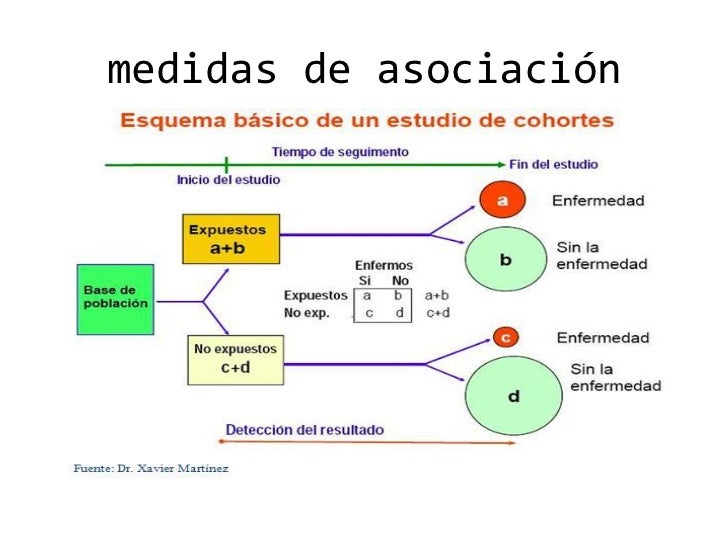 Que Son Las Medidas De Asociacion