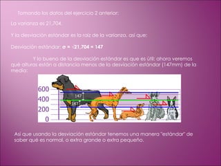 Tomando los datos del ejercicio 2 anterior: La varianza es 21,704. Y la desviación estándar es la raíz de la varianza, así que: Desviación estándar:  σ = √21,704 = 147 Y lo bueno de la desviación estándar es que es útil: ahora veremos qué alturas están a distancia menos de la desviación estándar (147mm) de la media: Así que usando la desviación estándar tenemos una manera "estándar" de saber qué es normal, o extra grande o extra pequeño. 