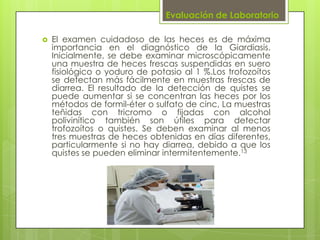 Evaluación de Laboratorio

   El examen cuidadoso de las heces es de máxima
    importancia en el diagnóstico de la Giardiasis.
    Inicialmente, se debe examinar microscópicamente
    una muestra de heces frescas suspendidas en suero
    fisiológico o yoduro de potasio al 1 %.Los trofozoítos
    se detectan más fácilmente en muestras frescas de
    diarrea. El resultado de la detección de quistes se
    puede aumentar si se concentran las heces por los
    métodos de formil-éter o sulfato de cinc, La muestras
    teñidas con tricromo o fijadas con alcohol
    polivinítico también son útiles para detectar
    trofozoítos o quistes. Se deben examinar al menos
    tres muestras de heces obtenidas en días diferentes,
    particularmente si no hay diarrea, debido a que los
    quistes se pueden eliminar intermitentemente.13
 