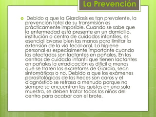 La Prevención
    Debido a que la Giardiasis es tan prevalente, la
    prevención total de su transmisión es
    prácticamente imposible. Cuando se sabe que
    la enfermedad está presente en un domicilio,
    institución o centro de cuidados infantiles, es
    esencial lavarse bien las manos para limitar la
    extensión de la vía fecal-oral. La higiene
    personal es especialmente importante cuando
    los afectados son lactantes en pañales. En los
    centros de cuidado infantil que tienen lactantes
    en pañales la erradicación es difícil a menos
    que se traten los excretores de Giardia, sean
    sintomáticos o no. Debido a que los exámenes
    parasitológicos de las heces son caros y el
    diagnóstico se retrasa a menudo porque no
    siempre se encuentran los quistes en una sola
    muestra, se deben tratar todos los niños del
    centro para acabar con el brote.
 