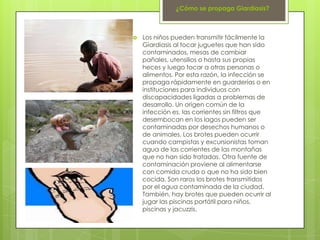 ¿Cómo se propaga Giardiasis?



   Los niños pueden transmitir fácilmente la
    Giardiasis al tocar juguetes que han sido
    contaminados, mesas de cambiar
    pañales, utensilios o hasta sus propias
    heces y luego tocar a otras personas o
    alimentos. Por esta razón, la infección se
    propaga rápidamente en guarderías o en
    instituciones para individuos con
    discapacidades ligadas a problemas de
    desarrollo. Un origen común de la
    infección es, las corrientes sin filtros que
    desembocan en los lagos pueden ser
    contaminadas por desechos humanos o
    de animales. Los brotes pueden ocurrir
    cuando campistas y excursionistas toman
    agua de las corrientes de las montañas
    que no han sido tratadas. Otra fuente de
    contaminación proviene al alimentarse
    con comida cruda o que no ha sido bien
    cocida. Son raros los brotes transmitidos
    por el agua contaminada de la ciudad.
    También, hay brotes que pueden ocurrir al
    jugar las piscinas portátil para niños,
    piscinas y jacuzzis.
 