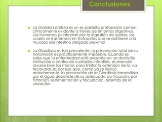 Conclusiones


   La Giardia Lamblia es un es parásito protozoario común,
    clínicamente evidente a través de síntomas digestivos.
    Los humanos se infectan por la ingestión de quistes, los
    cuales se trasforman en trofozoítos que se adhieren a la
    mucosa del intestino delgado proximal

   La Giardiasis es tan prevalente, la prevención total de su
    transmisión es prácticamente imposible. Cuando se
    sabe que la enfermedad está presente en un domicilio,
    institución o centro de cuidados infantiles, es esencial
    lavarse bien las manos para limitar la extensión de la vía
    fecal-oral, es por eso que, como ya se indicó
    anteriormente, la prevención de la Giardiasis transmitida
    por el agua depende de su adecuada purificación, por
    filtración, sedimentación y floculación, además de la
    cloración
 