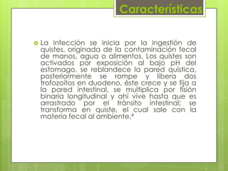 Características

   La infección se inicia por la ingestión de
    quistes, originada de la contaminación fecal
    de manos, agua o alimentos. Los quistes son
    activados por exposición al bajo pH del
    estomago, se reblandece la pared quística,
    posteriormente se rompe y libera dos
    trofozoítos en duodeno, éste crece y se fija a
    la pared intestinal, se multiplica por fisión
    binaria longitudinal y ahí vive hasta que es
    arrastrado por el tránsito intestinal; se
    transforma en quiste, el cual sale con la
    materia fecal al ambiente.4
 