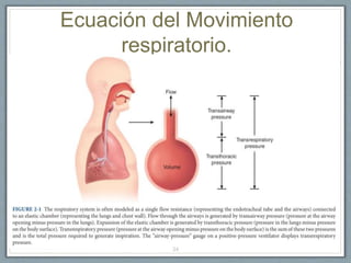Ecuación del Movimiento
respiratorio.
34
 