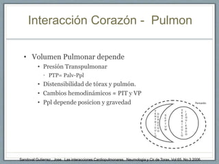 Interacción Corazón - Pulmon
• Volumen Pulmonar depende
• Presión Transpulmonar
• PTP= Palv-Ppl
• Distensibilidad de tórax y pulmón.
• Cambios hemodinámicos ≈ PIT y VP
• Ppl depende posicion y gravedad
Sandoval Gutierrez , Jose. Las interacciones Cardiopulmonares. Neumologia y Cir de Torax, Vol 65. No.3 2006.
 