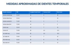 Fdi Temporal Medidas_Dientes_Temporales.pptx......... | PPTX