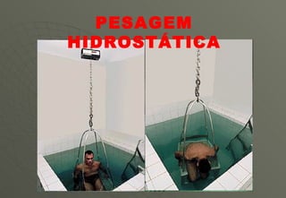 PESAGEM HIDROSTÁTICA 