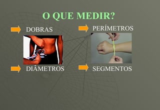 O QUE MEDIR? DOBRAS PERÍMETROS DIÂMETROS SEGMENTOS 