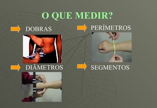 O QUE MEDIR? DOBRAS PERÍMETROS DIÂMETROS SEGMENTOS 