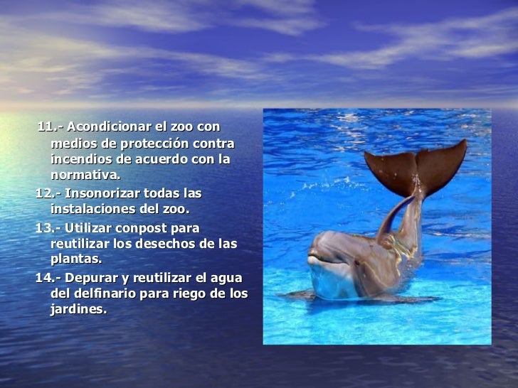 Medidas para no dañar el medio ambiente