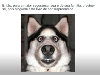 Então, para a maior segurança, sua e de sua família, previne-se, pois ninguém está livre de ser surpreendido. 