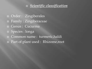 Medicinal plants in pakistan | PPTX