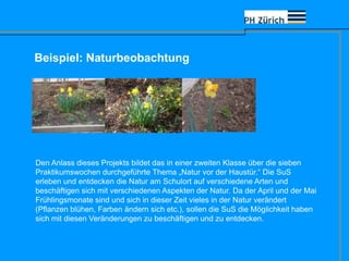 Beispiel: Naturbeobachtung
Den Anlass dieses Projekts bildet das in einer zweiten Klasse über die sieben
Praktikumswochen durchgeführte Thema „Natur vor der Haustür.“ Die SuS
erleben und entdecken die Natur am Schulort auf verschiedene Arten und
beschäftigen sich mit verschiedenen Aspekten der Natur. Da der April und der Mai
Frühlingsmonate sind und sich in dieser Zeit vieles in der Natur verändert
(Pflanzen blühen, Farben ändern sich etc.), sollen die SuS die Möglichkeit haben
sich mit diesen Veränderungen zu beschäftigen und zu entdecken.
 