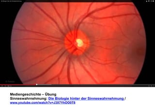 Mediengeschichte – Übung 
Sinneswahrnehmung: Die Biologie hinter der Sinneswahrnehmung / 
www.youtube.com/watch?v=J3X7YhOO0T8 
 
