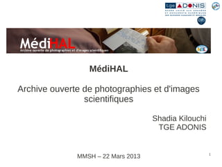 MédiHAL

Archive ouverte de photographies et d'images
                scientifiques

                                    Shadia Kilouchi
                                     TGE ADONIS


                                                      1
              MMSH – 22 Mars 2013
 