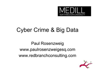 Cyber Crime & Big Data
Paul Rosenzweig
www.paulrosenzweigesq.com
www.redbranchconsulting.com

 