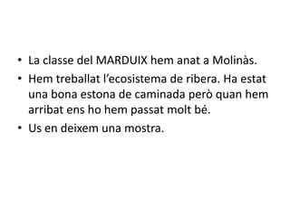 • La classe del MARDUIX hem anat a Molinàs.
• Hem treballat l’ecosistema de ribera. Ha estat
  una bona estona de caminada però quan hem
  arribat ens ho hem passat molt bé.
• Us en deixem una mostra.
 