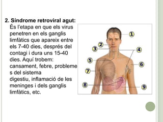 2. Síndrome retroviral agut:
És l’etapa en que els virus
penetren en els ganglis
limfàtics que apareix entre
els 7-40 dies, després del
contagi i dura uns 15-40
dies. Aquí trobem:
cansament, febre, probleme
s del sistema
digestiu, inflamació de les
meninges i dels ganglis
limfàtics, etc.
 